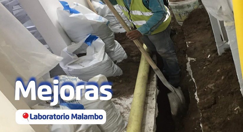 sgs malamabo